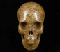 Preview: Floriated Jasper Skull